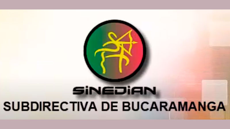 Apoyo solidario de mercados Subdirectiva Bucaramanga. SINEDIAN