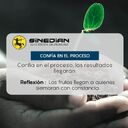 SINEDIAN