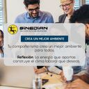 SINEDIAN